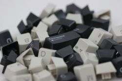 Vanderbilt University