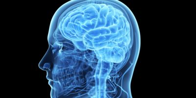 Vanderbilt University