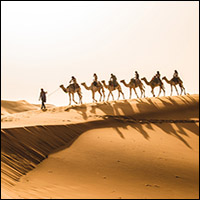 Vanderbilt University