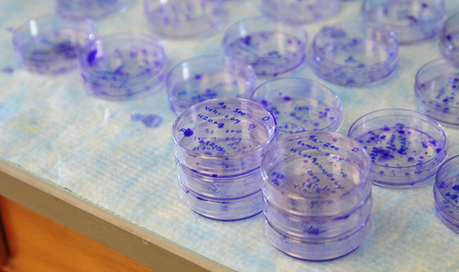 Vanderbilt University