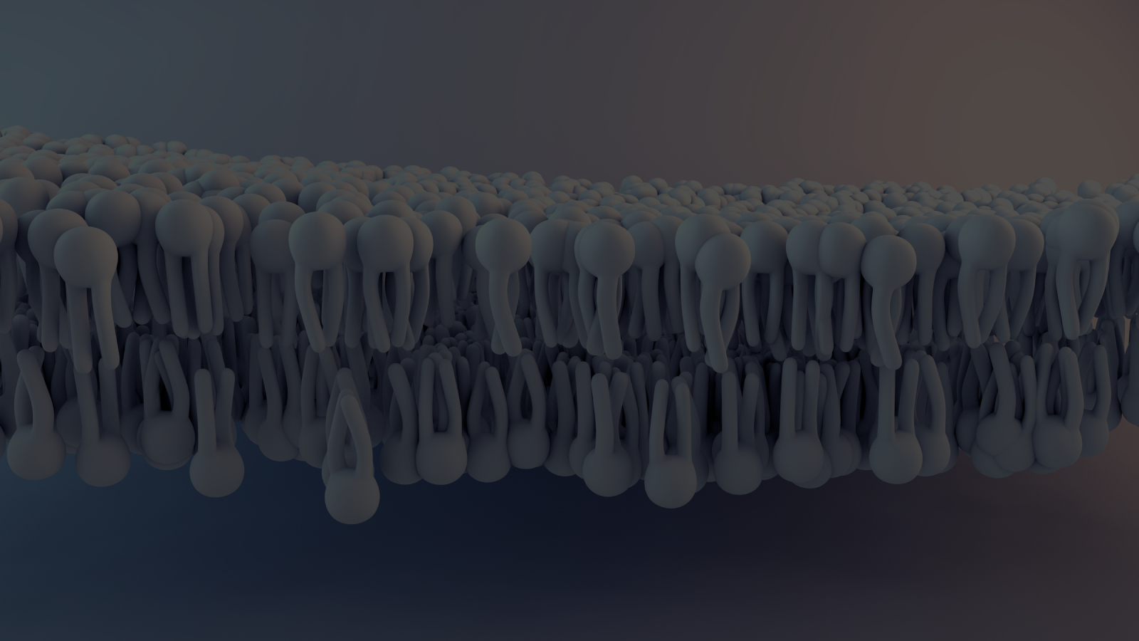 cell membrane