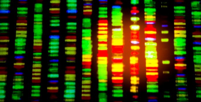 DNA sequence visualization