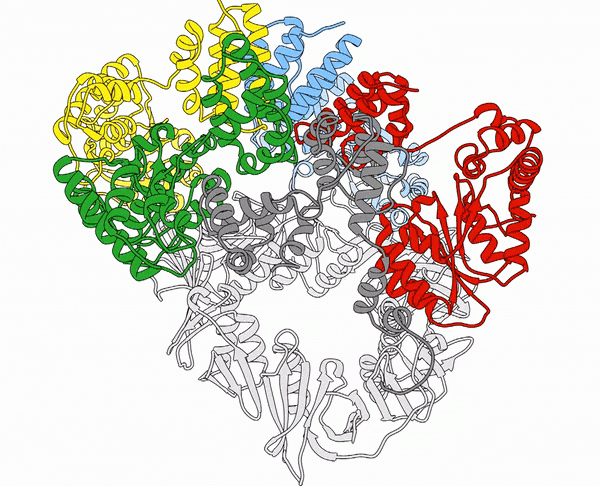 Vanderbilt University