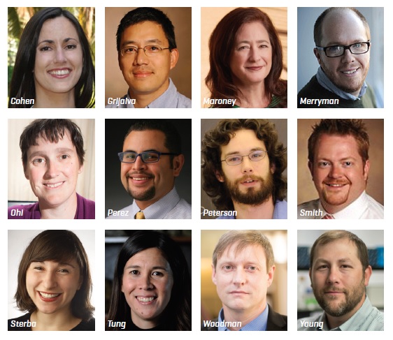 Chancellor Faculty Fellows 2017