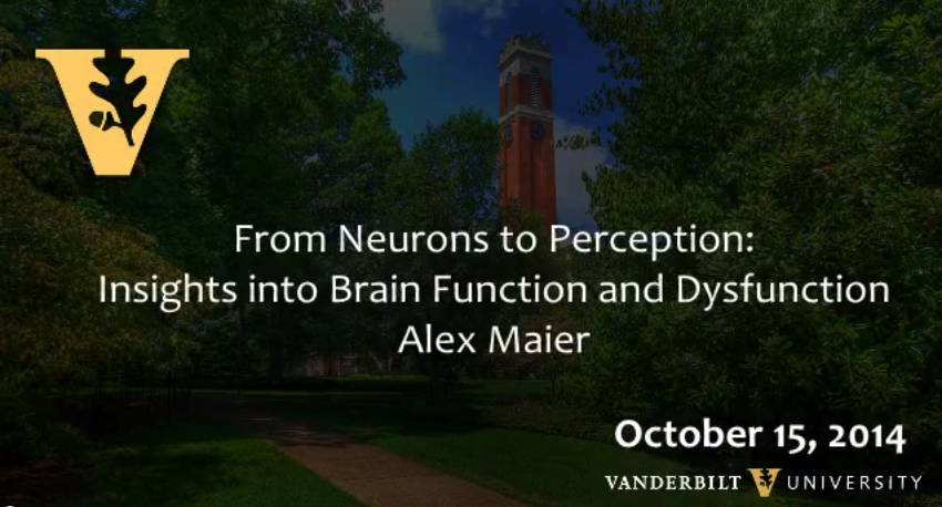 Vanderbilt University