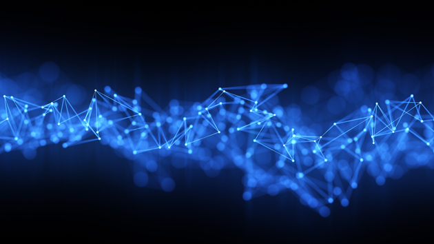 Vanderbilt University