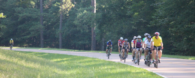 Vanderbilt University