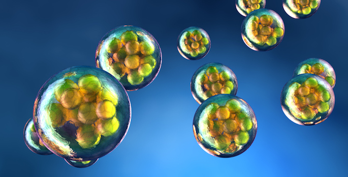 computer rendering of cells showing basic structural details