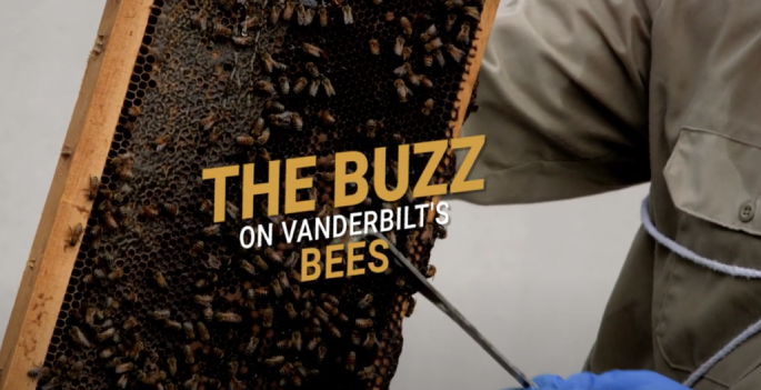 Vanderbilt University