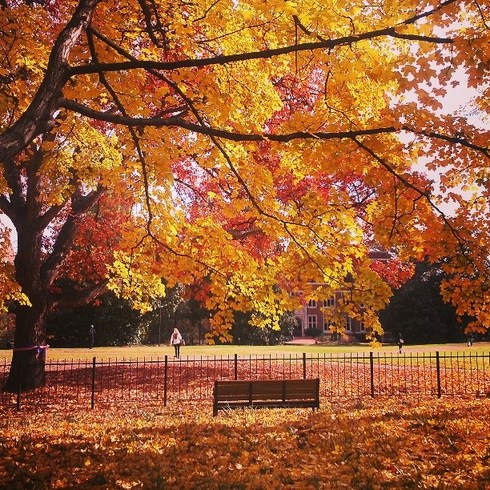 Vanderbilt University