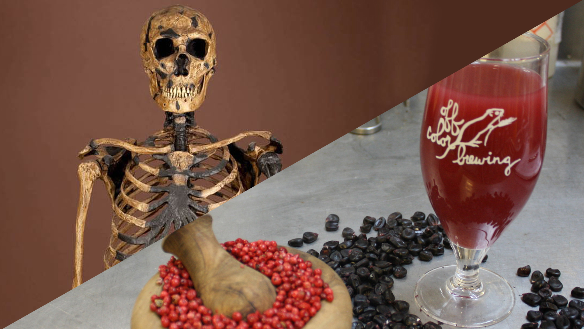 Vanderbilt University