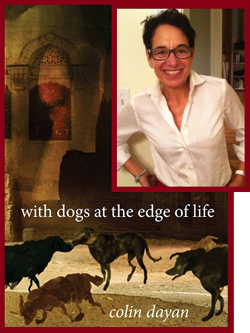 Vanderbilt University