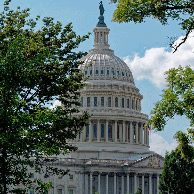 The US Capitol, Washington DC.