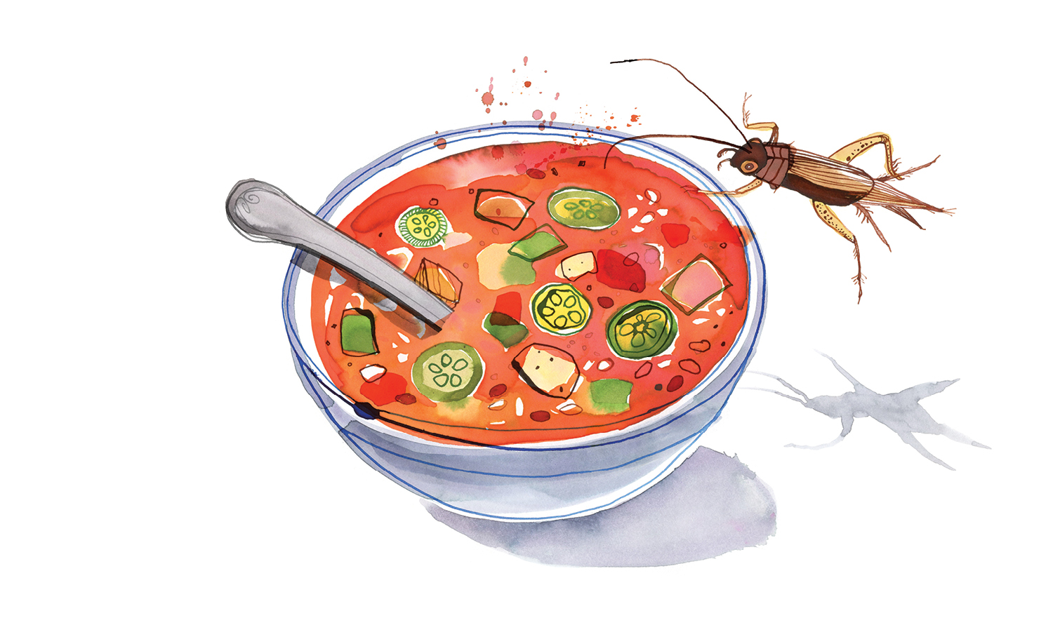 Vanderbilt University