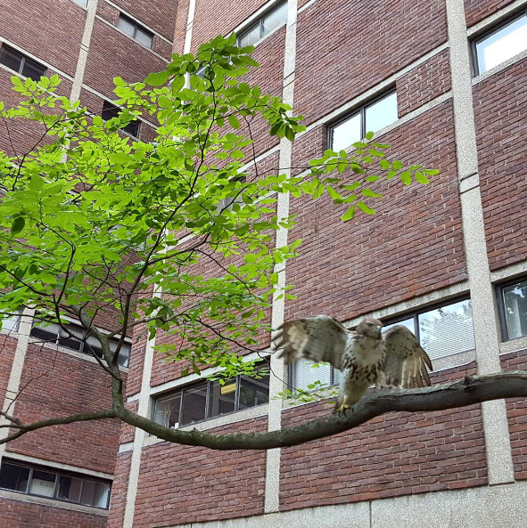 Vanderbilt University