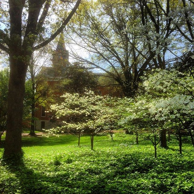 Vanderbilt University