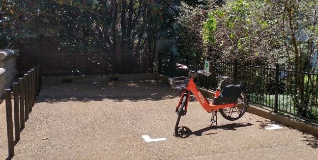 Vanderbilt University