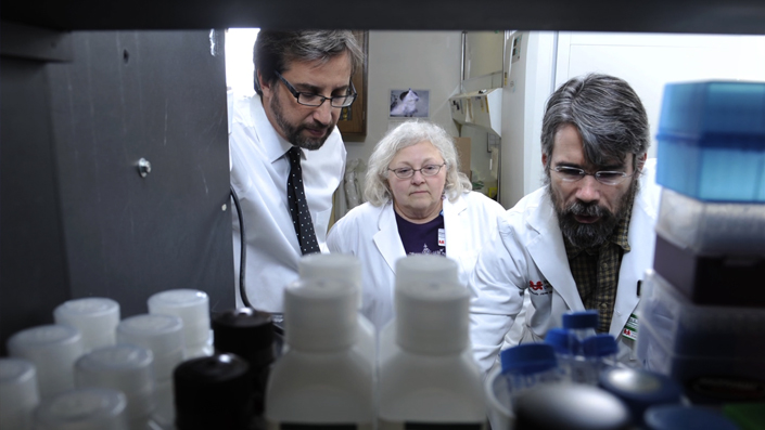 Vanderbilt University