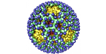 Vanderbilt University