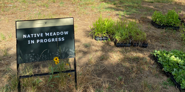 Vanderbilt University