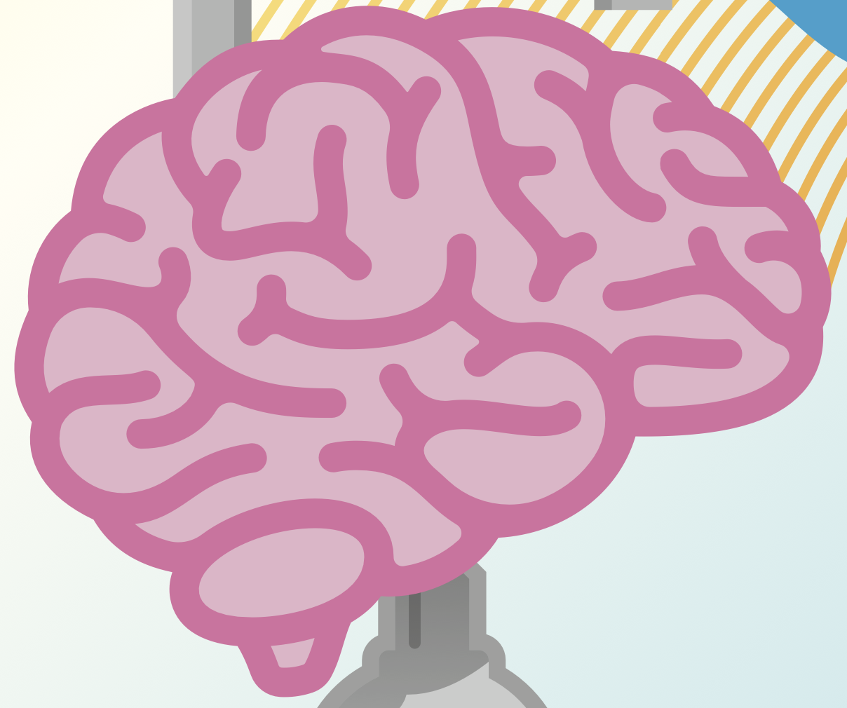 Screenshot 2025-05-24 at 10.54.13 AM