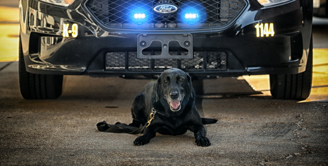 Vanderbilt University