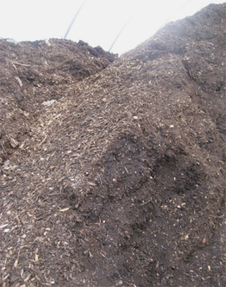 Vanderbilt has taken several steps to achieve its goal of zero waste, including composting.