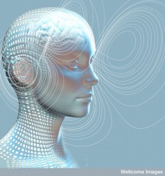 brain-sounds Illustration of brain listening to sounds