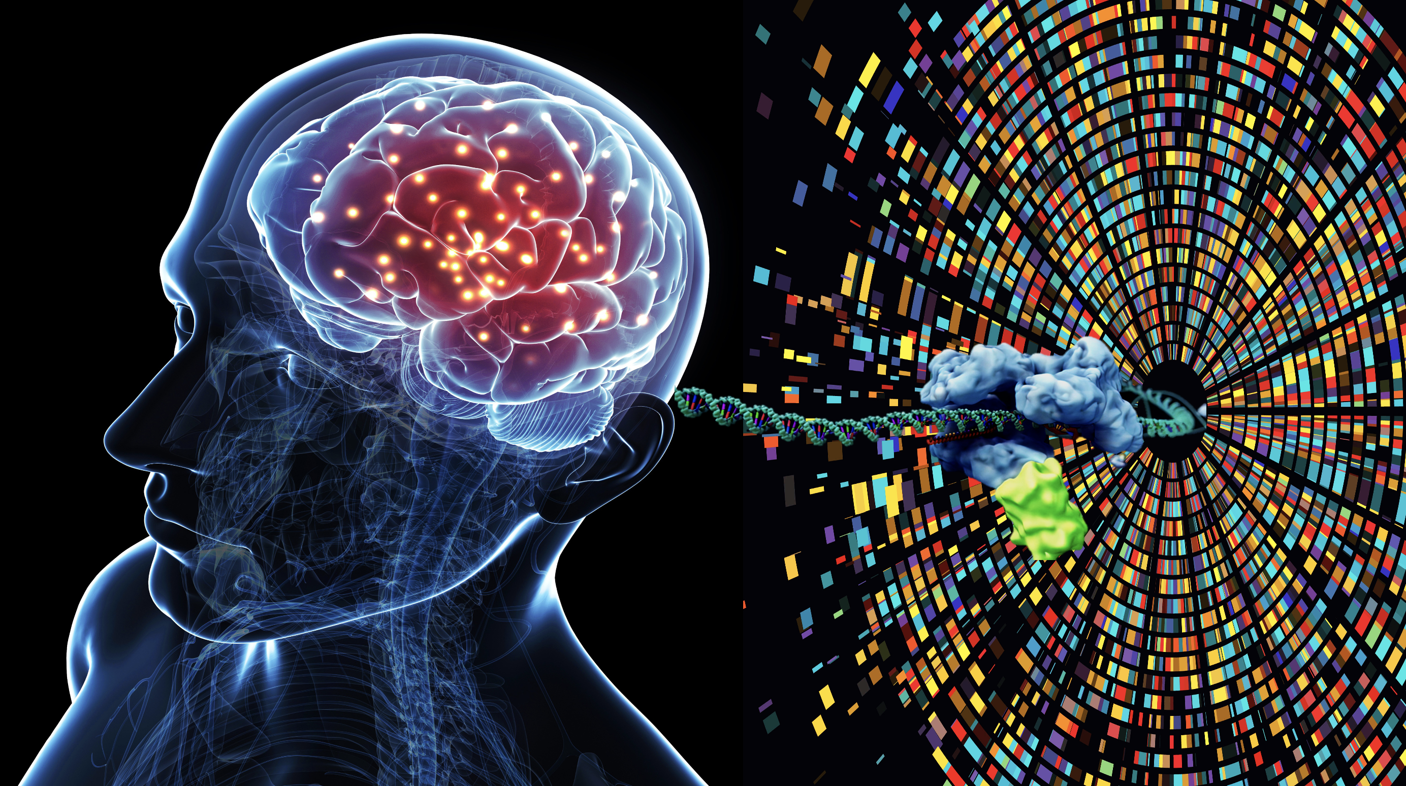 Vanderbilt University