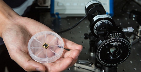 CPLdetectorweb hand holding petri dish containing microchip next to large scope device