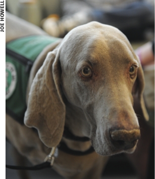 Vanderbilt University