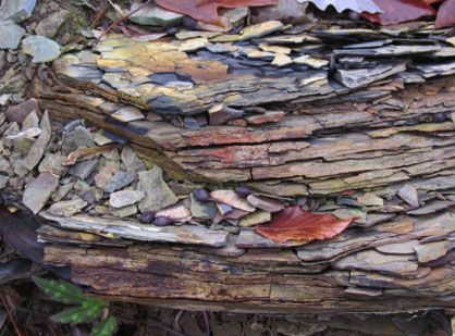 geology rock formation 2