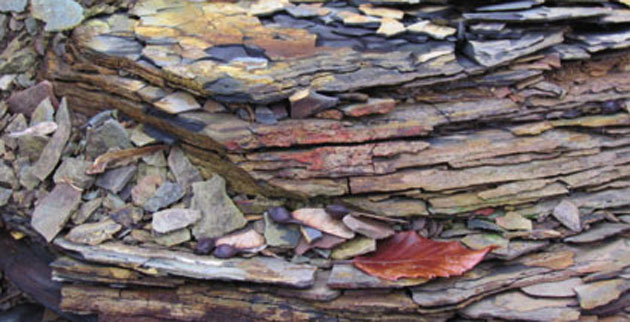 Vanderbilt University