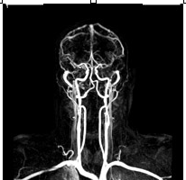 Vanderbilt University