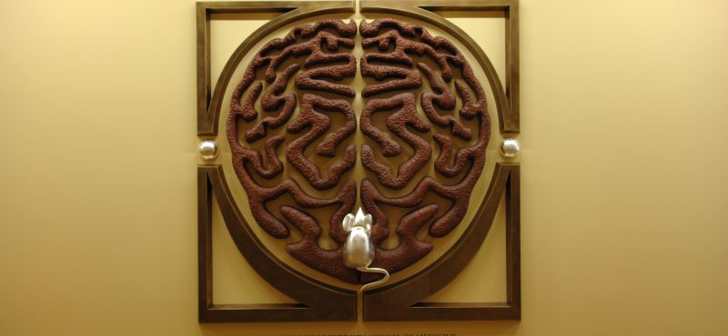 Mouse Neurobehavioral Core