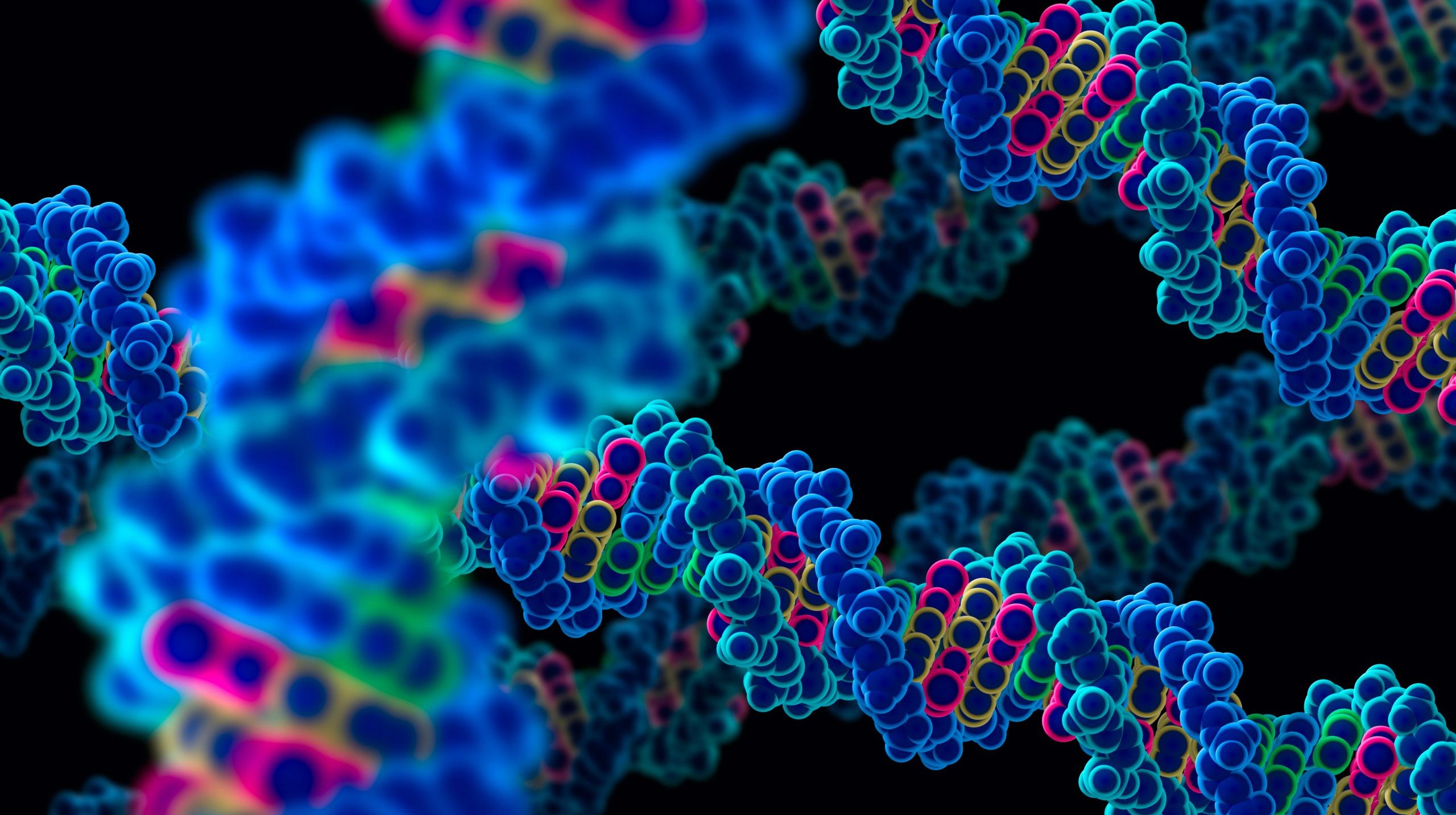 Vanderbilt University