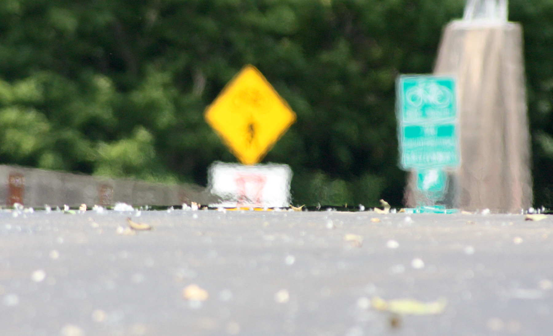 Vanderbilt University