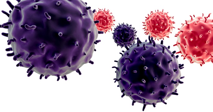 Vanderbilt University