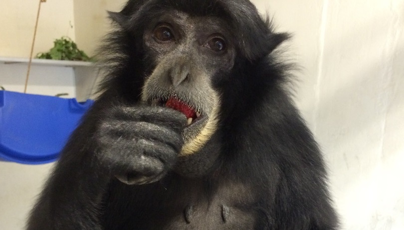 Vanderbilt University