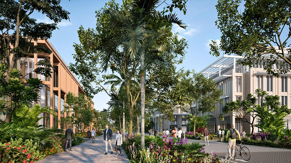 View looking west on Evernia Street