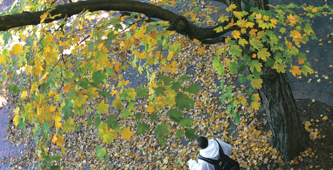 Vanderbilt University