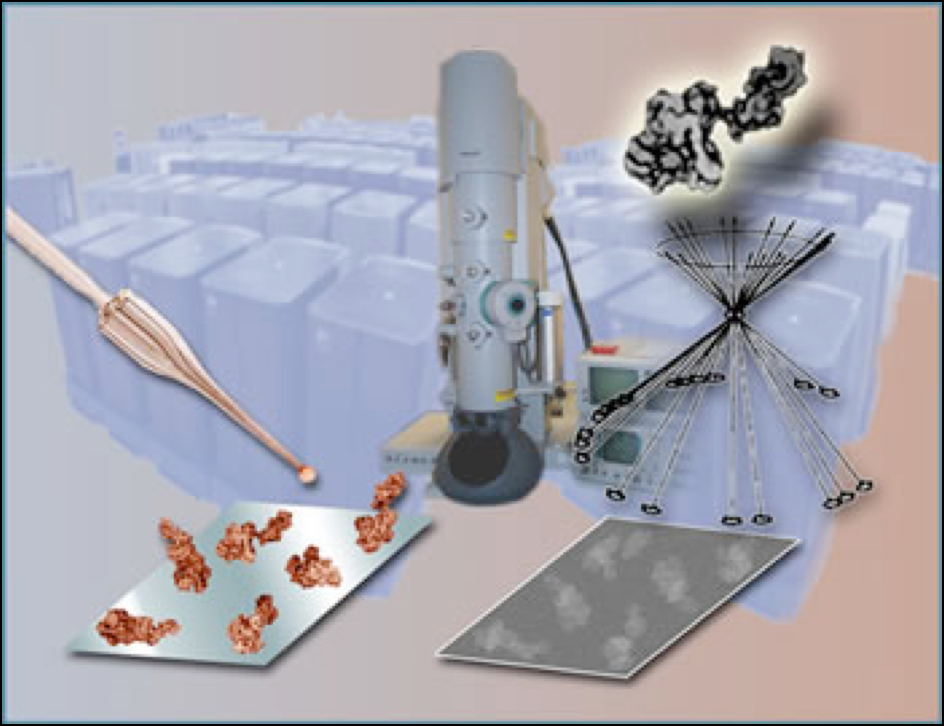 Cryo-Electron Microscopy Cryo-Electron Microscopy