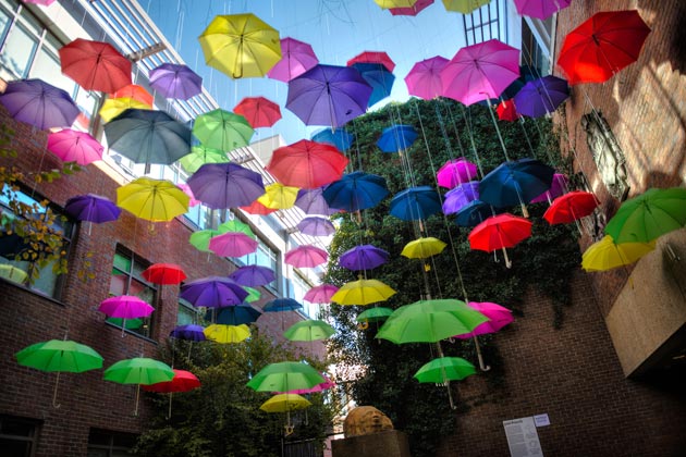 Vanderbilt University