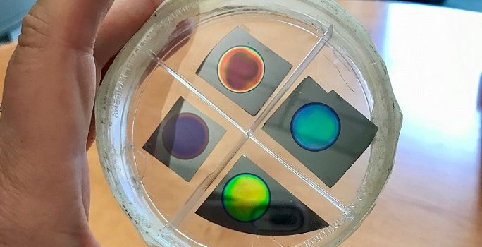 Vanderbilt University