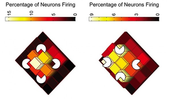 Chart comparing V4 activity