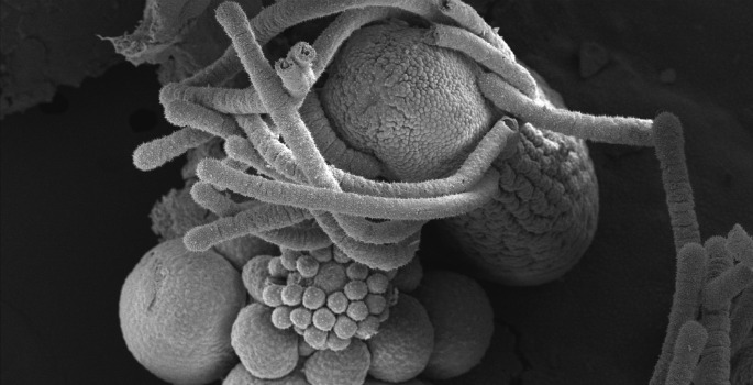 Vanderbilt University