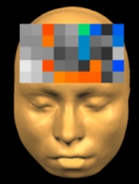 Vanderbilt University