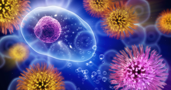 Vanderbilt University