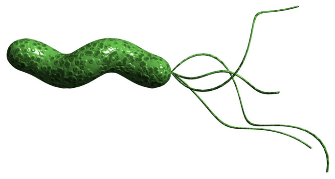 Vanderbilt University