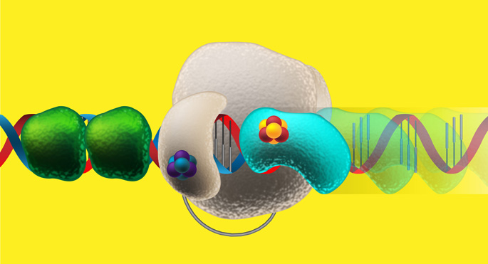 Vanderbilt University